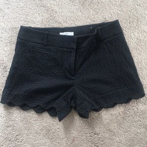 Loft shorts, scalloped legs!